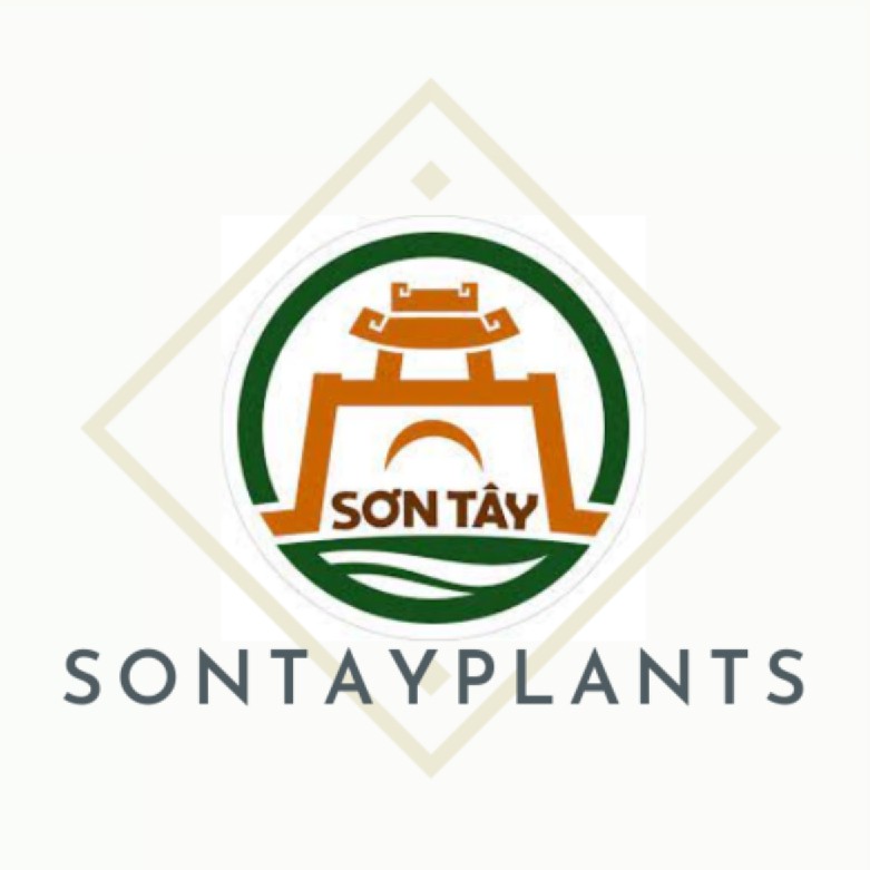 Thành Cổ Sơn Tây